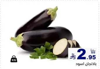 Black eggplant, fresh and new.