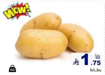 Fresh potatoes, perfect for cooking and baking.