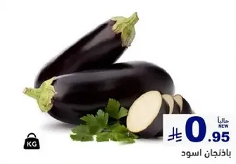Fresh black eggplant.