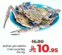 سلطعون محلي كبير للكغ