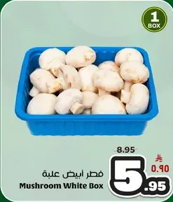 Mushroom White Box
