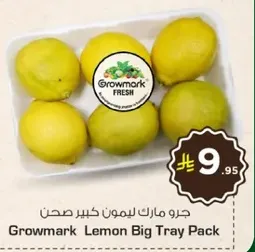 Growmark Lemon Big Tray Pack