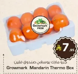 Growmark Mandarin Thermo Box