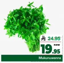 Mukunuwenna is a leafy green vegetable commonly used in Sri Lankan cuisine.