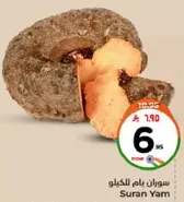 Suran Yam