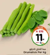 Drumstick Per Kg