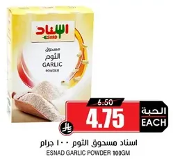 Esnad Garlic Powder 100g