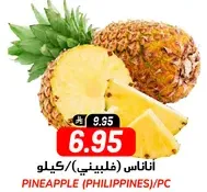 Pineapple (Philippines) per piece.