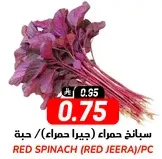 سبانخ حمراء (جيرا حمراء)