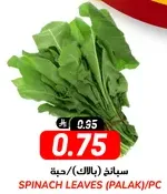 سبانخ (بالالك)