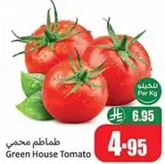 طماطم محمي