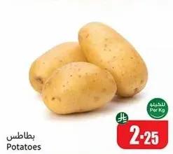 بطاطس