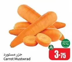 جززر مستورد