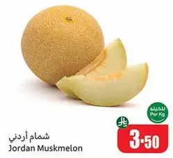 Jordan Muskmelon