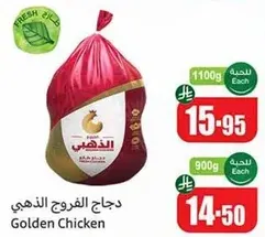 دجاج الفروج الذهبي