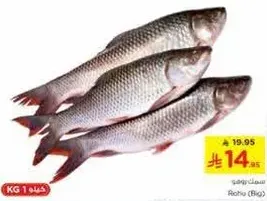 Fresh fish available for sale.