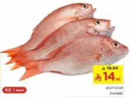 Fresh fish available for sale.