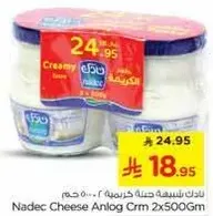 جبنه نادك كريمه 2x500غ