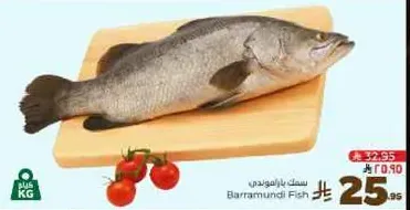 Barramundi Fish