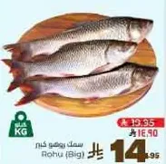 Rohu (Big) fish