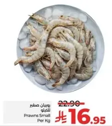 Prawns Small Per Kg