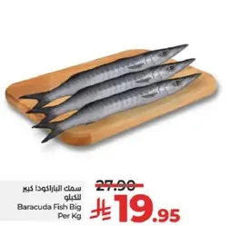 Baracuda Fish Big Per Kg