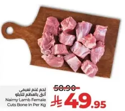 لحم غنم ناعمي انثي بالمظلم للتخلو