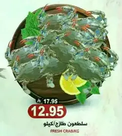Fresh crab