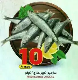 Fresh large sardines.