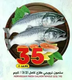 Norwegian fresh salmon whole