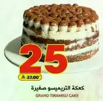 Grand Tiramisu Cake