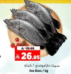 Sea Bass