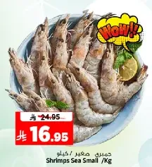 Shrimps Sea Small