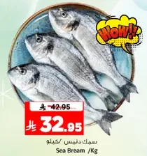 Sea Bream /Kg