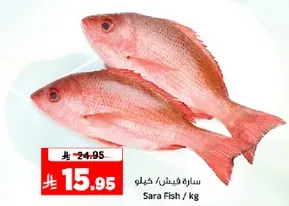 Sara Fish / kg