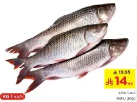 Fresh Rohu fish.
