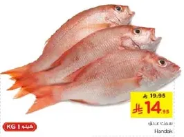 Fresh fish available for sale.