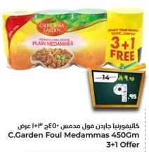 كاليفورنيا جاردن فول مدمس 450جم عرض 3+1.