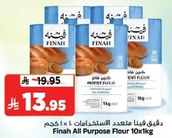 دقيق فينا متعدد الاستعمالات 10 × 1 كجم
