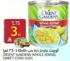 اورينت جاردنز ذره حب كامله 340 غم