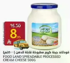 فود لاند جبنه كريمه مطبوخه قابله للدهن 500غ