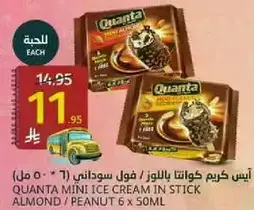 ايس كريم كوانتا باللوز / فول سوداني 6 * 50 مل.