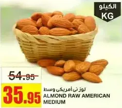 لوز ني امريكي وسط.