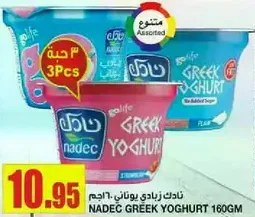 نادك زبادي يوناني 160 جرام، نكهات متنوعه.