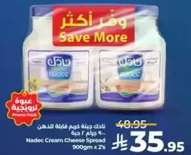 ناديك جبنه كريمه غافيه للدهون 900 جرام × 2