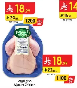 دجاج اليوم
