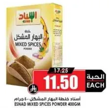 Esnad Mixed Spices Powder 400g