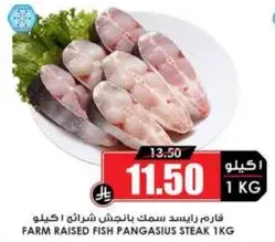 فارم راسيد سمك بانجاشين شراين 1 كيلو