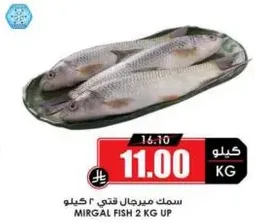 سمك ميرجار قتي 2 كيلو