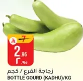 Bottle gourd (Kadhu)